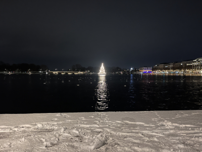 Alstertanne