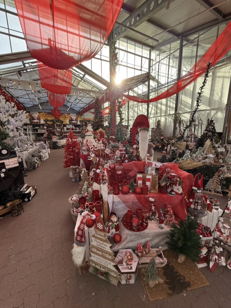 Eindrücke der Weihnachtsausstellung - Obi Hamburg Harburg