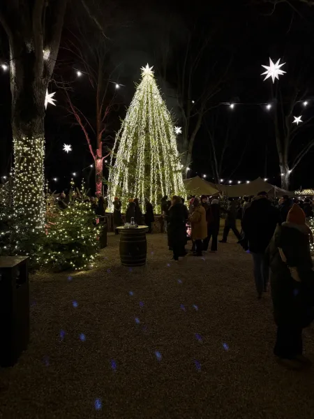 StadtParkZauber – Weihnachtsmarkt am Landhaus Walter