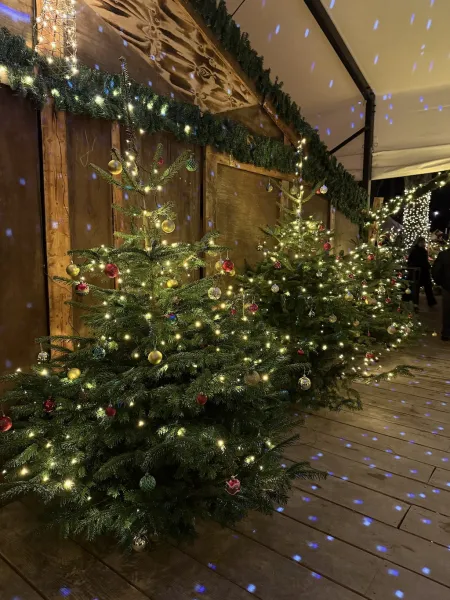 StadtParkZauber – Weihnachtsmarkt am Landhaus Walter