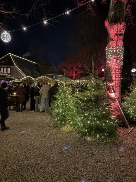 StadtParkZauber – Weihnachtsmarkt am Landhaus Walter