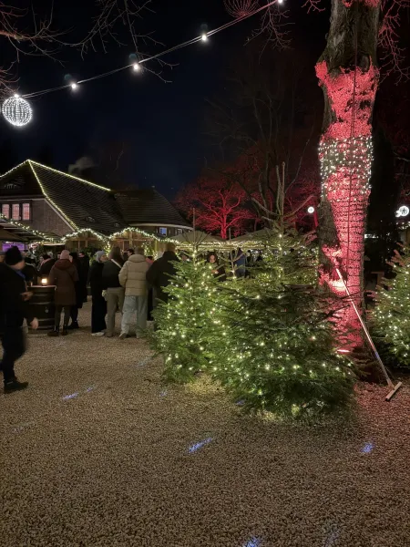 StadtParkZauber – Weihnachtsmarkt am Landhaus Walter