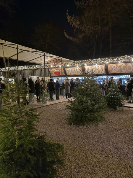 StadtParkZauber – Weihnachtsmarkt am Landhaus Walter