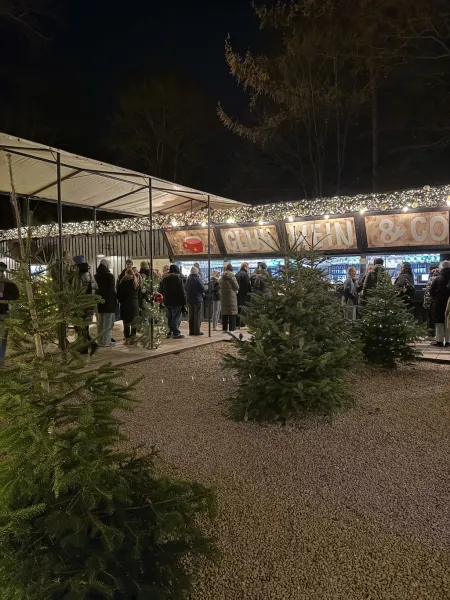 StadtParkZauber – Weihnachtsmarkt am Landhaus Walter