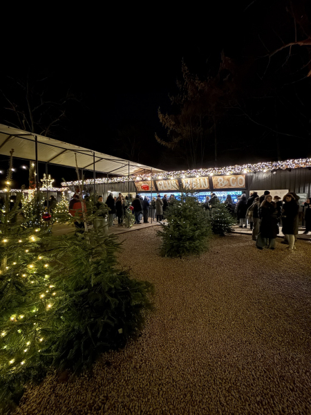 StadtParkZauber – Weihnachtsmarkt am Landhaus Walter