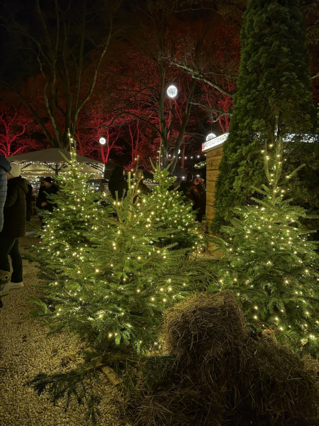 StadtParkZauber – Weihnachtsmarkt am Landhaus Walter