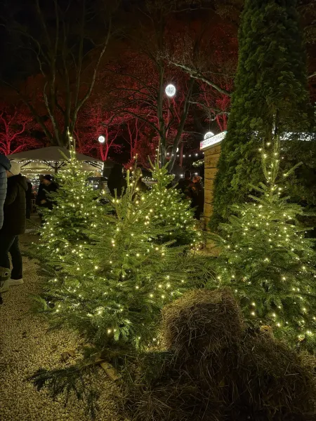 StadtParkZauber – Weihnachtsmarkt am Landhaus Walter