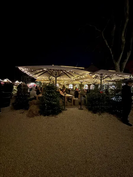 StadtParkZauber – Weihnachtsmarkt am Landhaus Walter