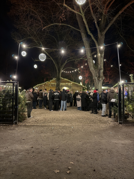 StadtParkZauber – Weihnachtsmarkt am Landhaus Walter
