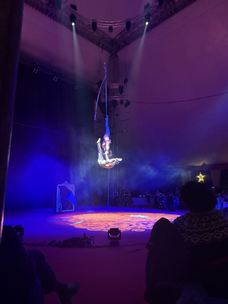 Weihnachtsfeierzauber Horner Rennbahn 2025