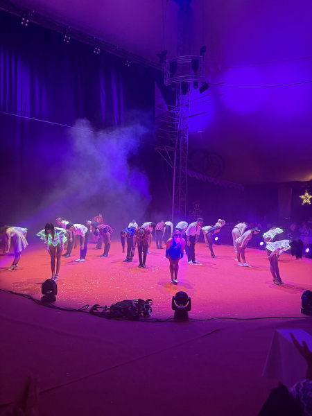 Weihnachtsfeierzauber Horner Rennbahn 2025