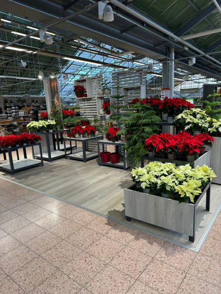 Tolle Eindrücke aus der&nbsp;Weihnachtsausstellung im Dehner Gartencenter in Hamburg Marmstorf