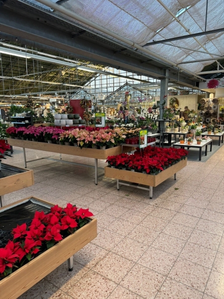 Tolle Eindrücke aus der&nbsp;Weihnachtsausstellung im Dehner Gartencenter in Hamburg Marmstorf