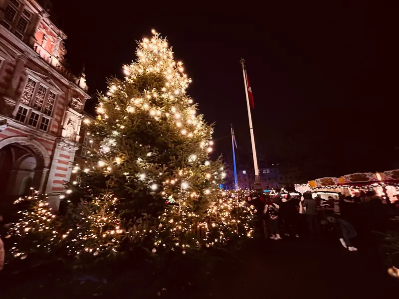Harburger Weihnachtsmarkt - Weihnachtszauber am Harburger Rathaus