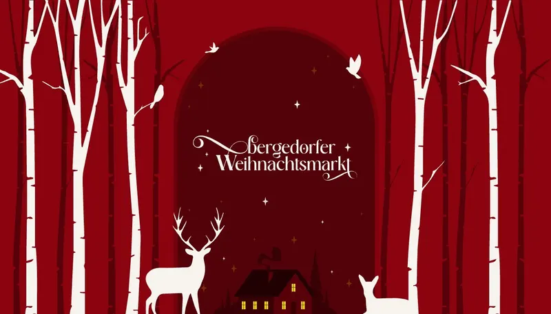 Website bergedorfer-weihnachtsmarkt.de